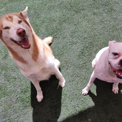 Whatsapp Image 2023 10 07 At 12.32.02 Pm 6