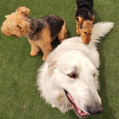 Whatsapp Image 2023 10 07 At 12.32.03 Pm