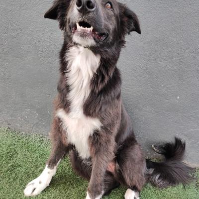 Whatsapp Image 2023 10 07 At 12.32.05 Pm 3