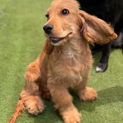 Whatsapp Image 2023 10 07 At 12.32.13 Pm 4